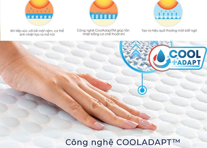Công nghệ làm mát độc quyền COOLADAPT™ trên nệm Liên Á La Dome Blue